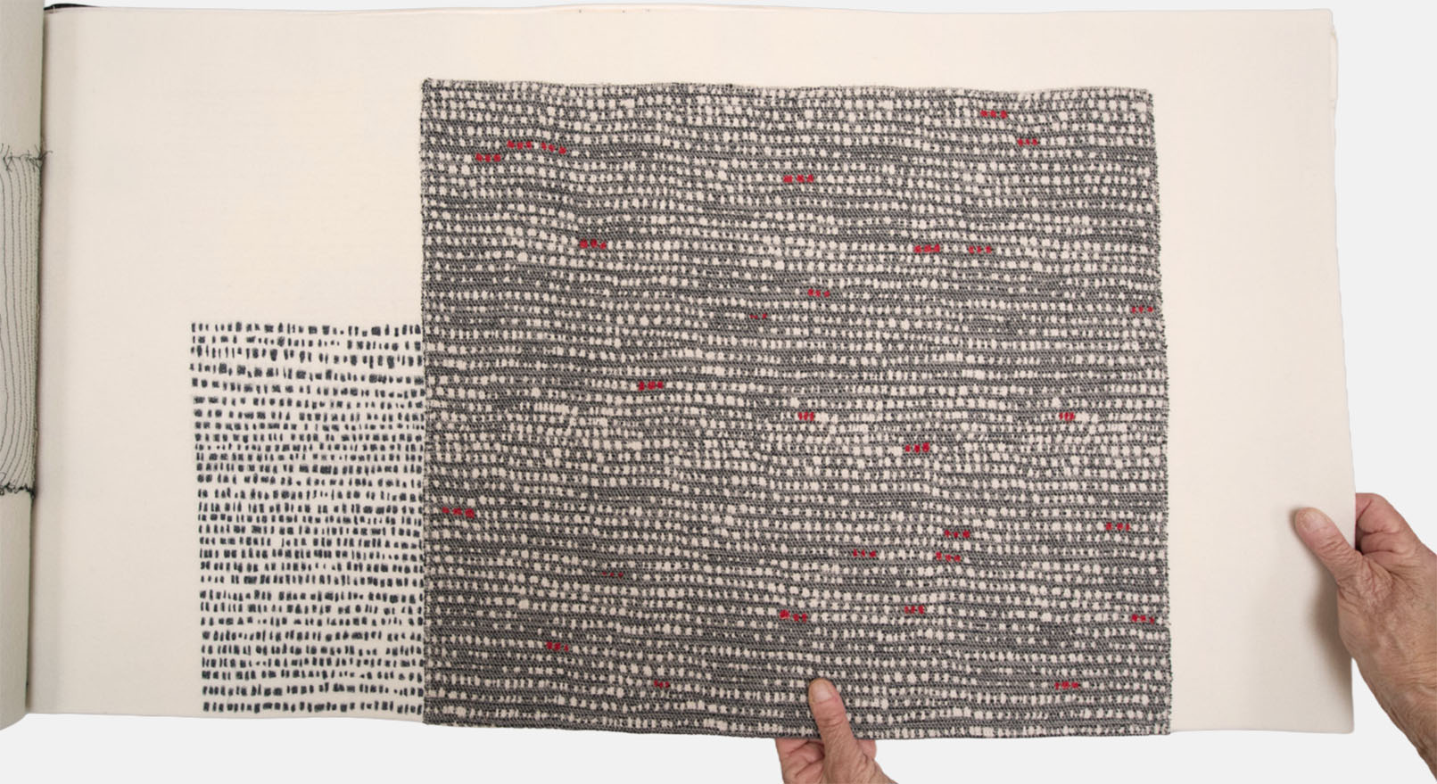 ALeft Unsaid - Lisa Kokin